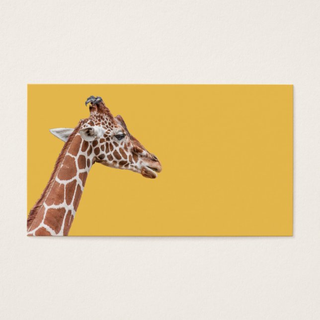 Profil de girafe (Devant)
