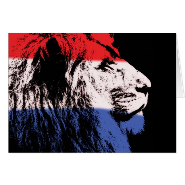 Profil de lion dormant (Devant horizontal)