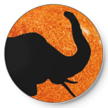 Profil éléphant Éclipse solaire ombre