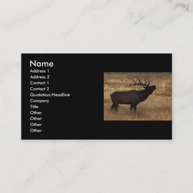 profil ou carte de visite, bugle d'élans (Devant)