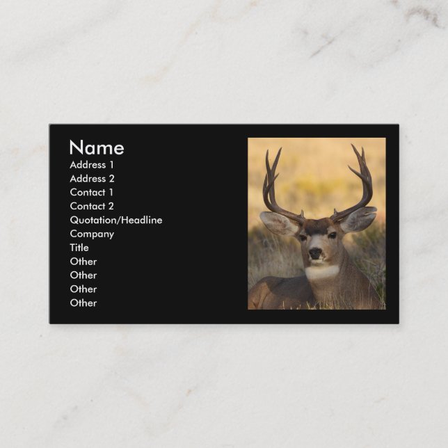 profil ou carte de visite, cerf commun (Devant)