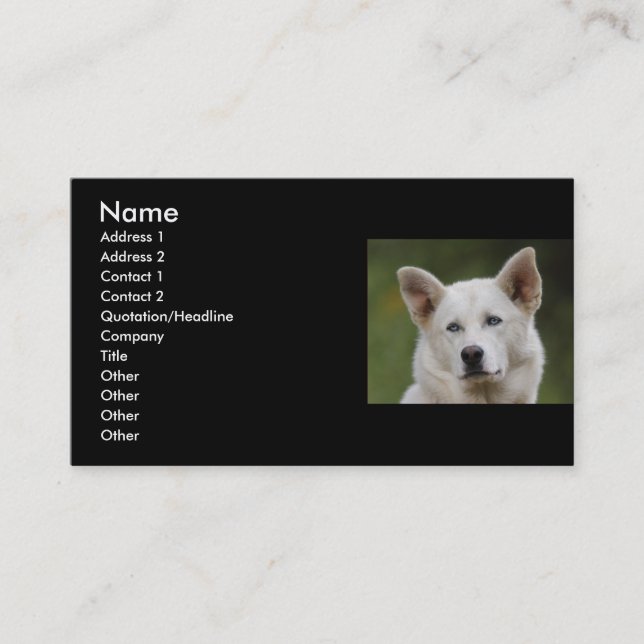 profil ou carte de visite, chien (Devant)