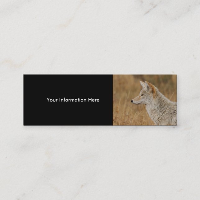 profil ou carte de visite, coyote (Devant)