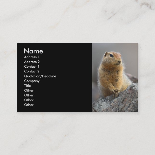 profil ou carte de visite, écureuil (Devant)
