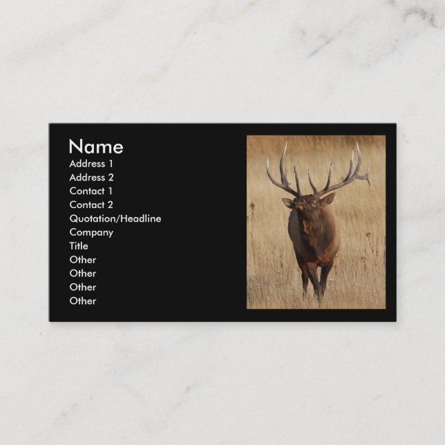 profil ou carte de visite, élan (Devant)
