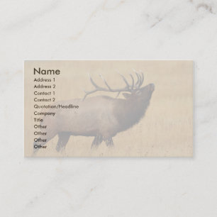 profil ou carte de visite, élan