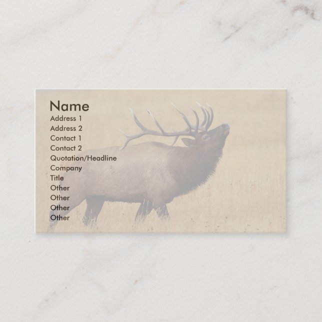 profil ou carte de visite, élan (Devant)