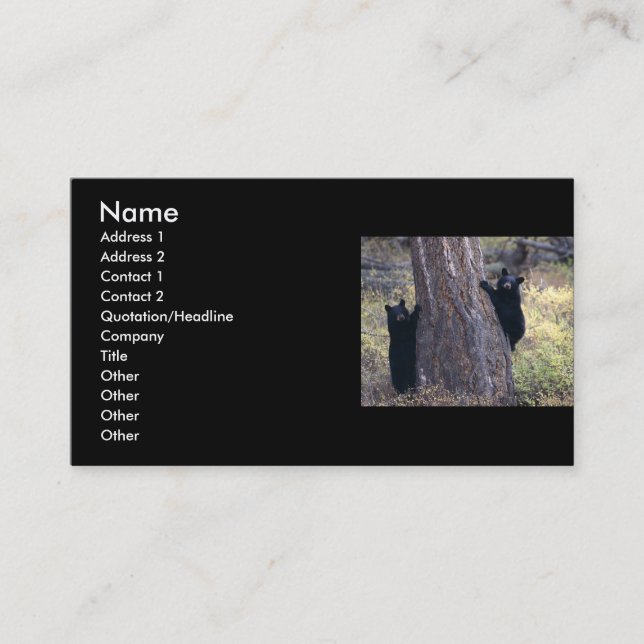 profil ou carte de visite, petits animaux d'ours (Devant)