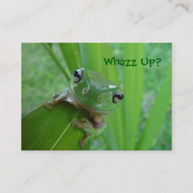 Profil ou cartes de visite de grenouille (Devant)