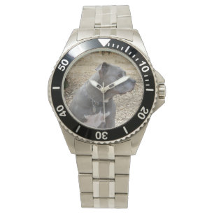 Profil Pitbull Montre Homme