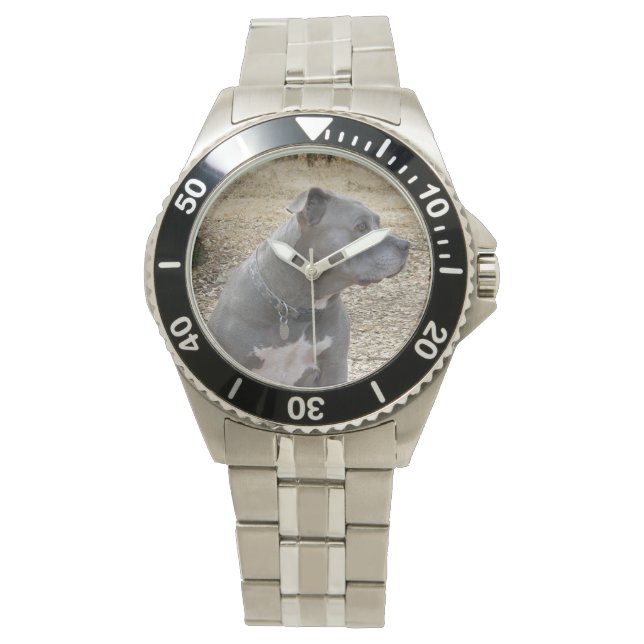 Profil Pitbull Montre Homme (devant)
