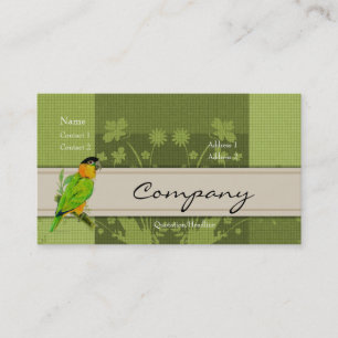 Profile Card - Caique Parrot