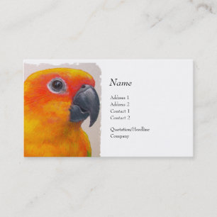 Profile Card - Sun Conure