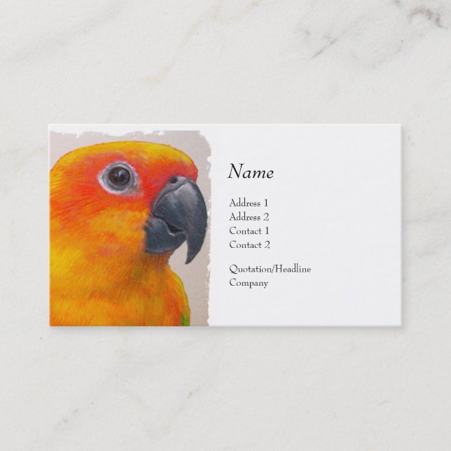 Profile Card - Sun Conure (Front)
