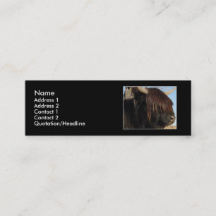Profile Card Template - Highland Cattle