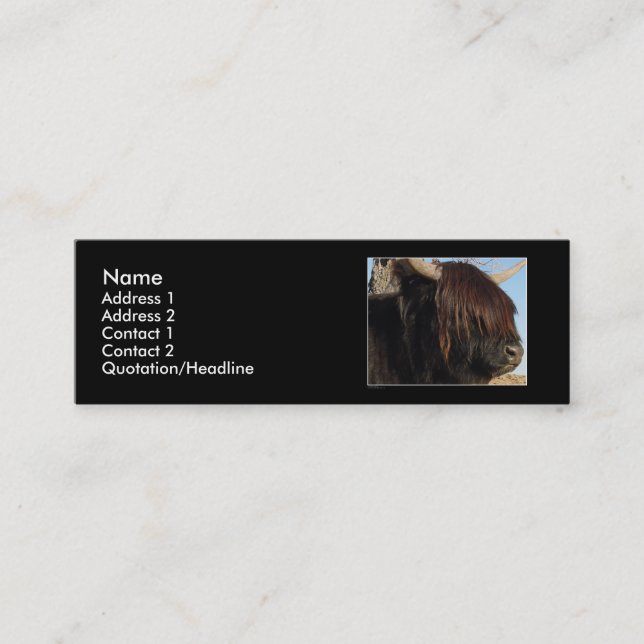 Profile Card Template - Highland Cattle (Front)