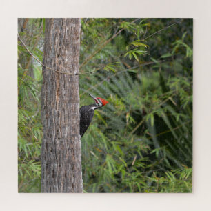Profile Florida Pileated Woodpecker Nature Photo Jigsaw Puzzle