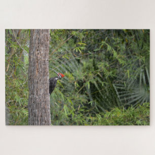 Profile Florida Pileated Woodpecker Nature Photo Jigsaw Puzzle