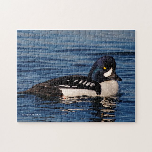 Profile of a Barrow's Goldeneye Jigsaw Puzzle (Horizontal)