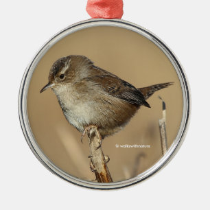 Profile of a Beautiful Marsh Wren Metal Ornament