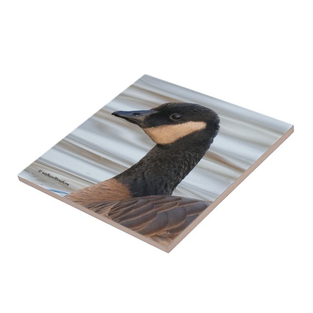 Profile of a Cackling Goose Tile (Side)