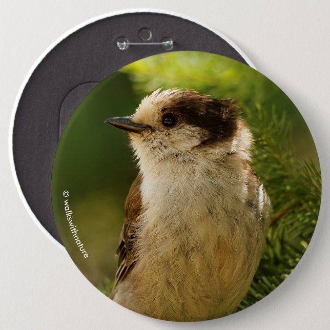 Profile of a Cute Grey Jay / Whiskeyjack 6 Inch Round Button (Front & Back)