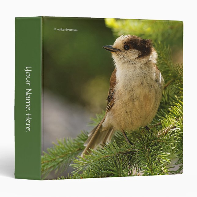 Profile of a Cute Grey Jay / Whiskeyjack Binder (Front/Spine)