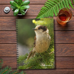 Profile of a Cute Grey Jay / Whiskeyjack Notebook