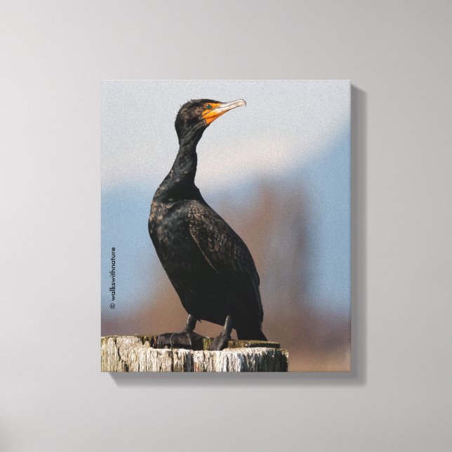 Profile of a Double-Crested Cormorant Canvas Print (Front)