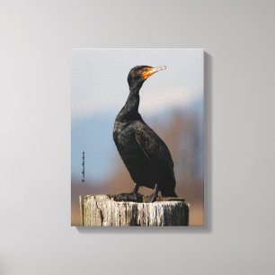 Profile of a Double-Crested Cormorant Canvas Print
