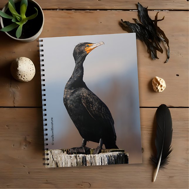 Profile of a Double-Crested Cormorant Notebook (Profile of a Double-Crested Cormorant Journal Cover Photo)