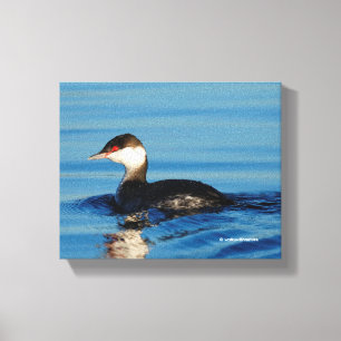 Profile of a Horned Grebe Canvas Print