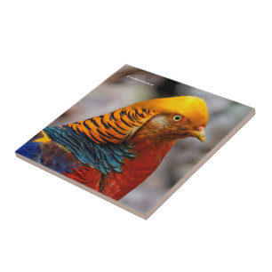 Profile of a Red Golden Pheasant Tile