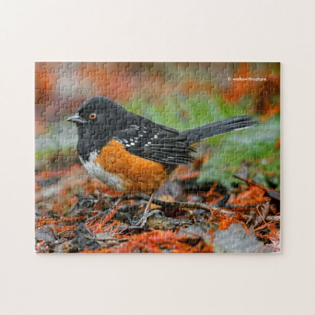 Profile of a Spotted Towhee Jigsaw Puzzle (Horizontal)