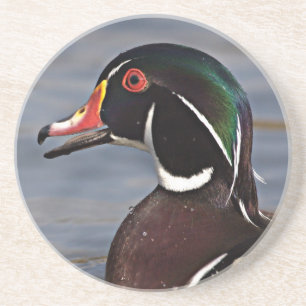 Profile of A Wood duck Coaster