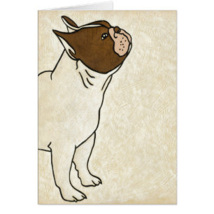 Profile of French Bulldog Looking Up