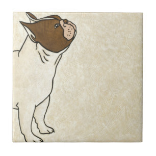 Profile of French Bulldog Looking Up Tile