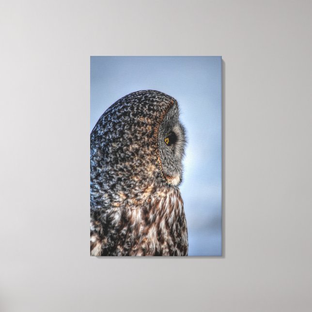 Profile of Great Grey Owl Wildlife Photo Portrait Canvas Print