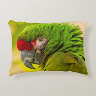 Profile of macaw at Santa Barbara Zoo Decorative Pillow
