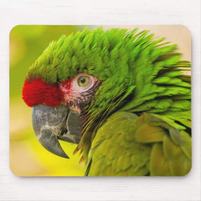 Profile of macaw at Santa Barbara Zoo Mouse Pad (Front)