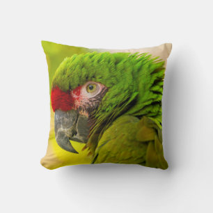 Profile of macaw at Santa Barbara Zoo Throw Pillow