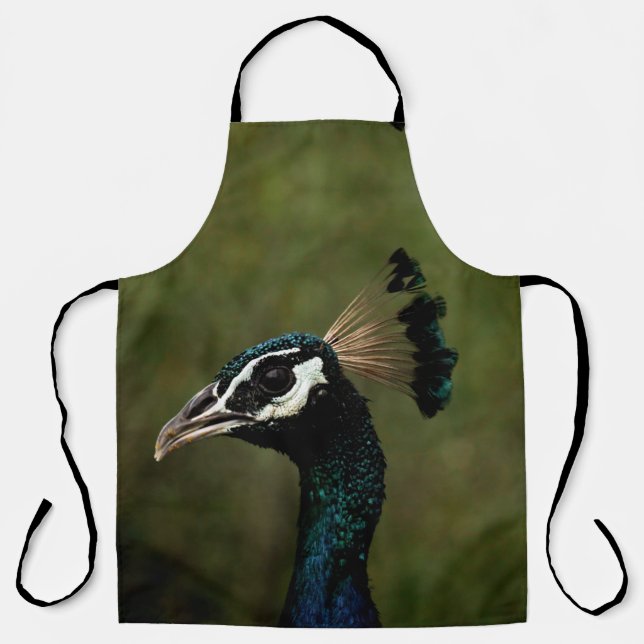 Profile of Peacock  Apron (Front)