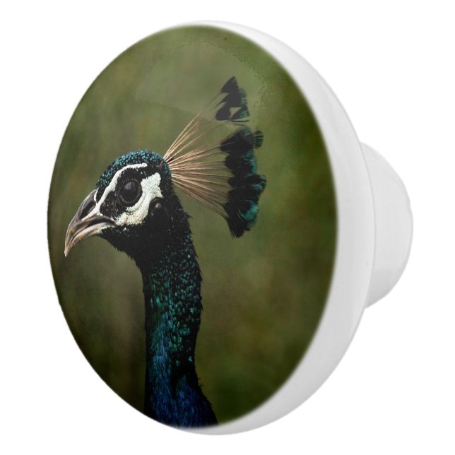 Profile of Peacock  Ceramic Knob (Right)