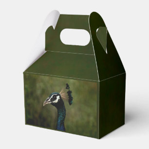 Profile of Peacock Favor Box