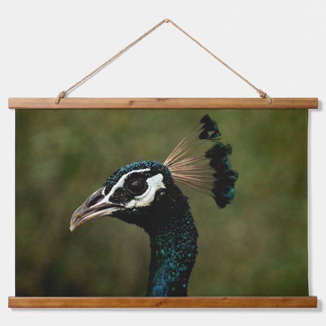 Profile of Peacock  Hanging Tapestry (Front)