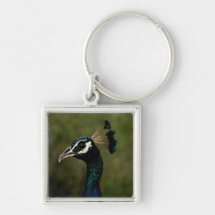 Profile of Peacock  Keychain
