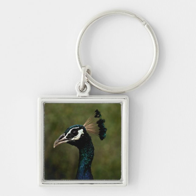 Profile of Peacock  Keychain (Front)