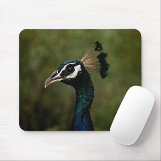 Profile of Peacock Mouse Pad