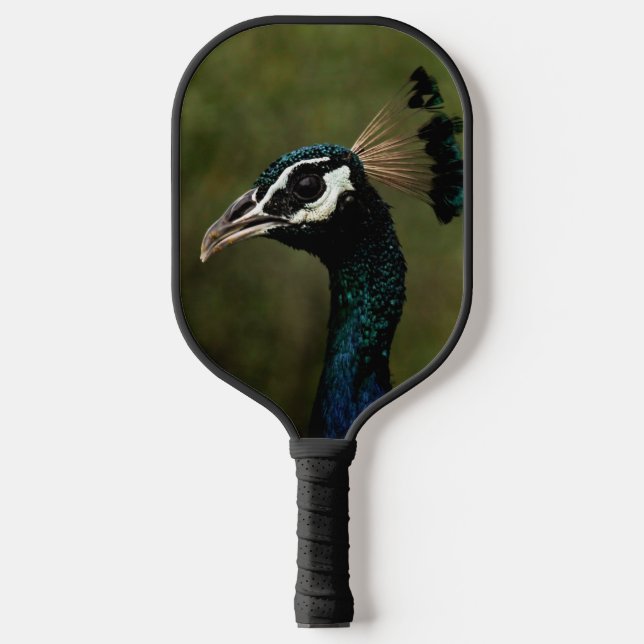 Profile of Peacock  Pickleball Paddle (Front)