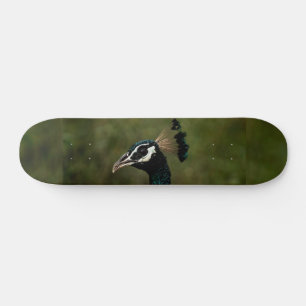 Profile of Peacock  Skateboard